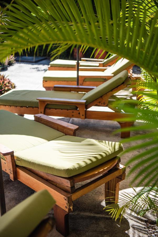 Nautilus Surf & Yoga Villas Santa Teresa Playa Santa Teresa  Exterior photo