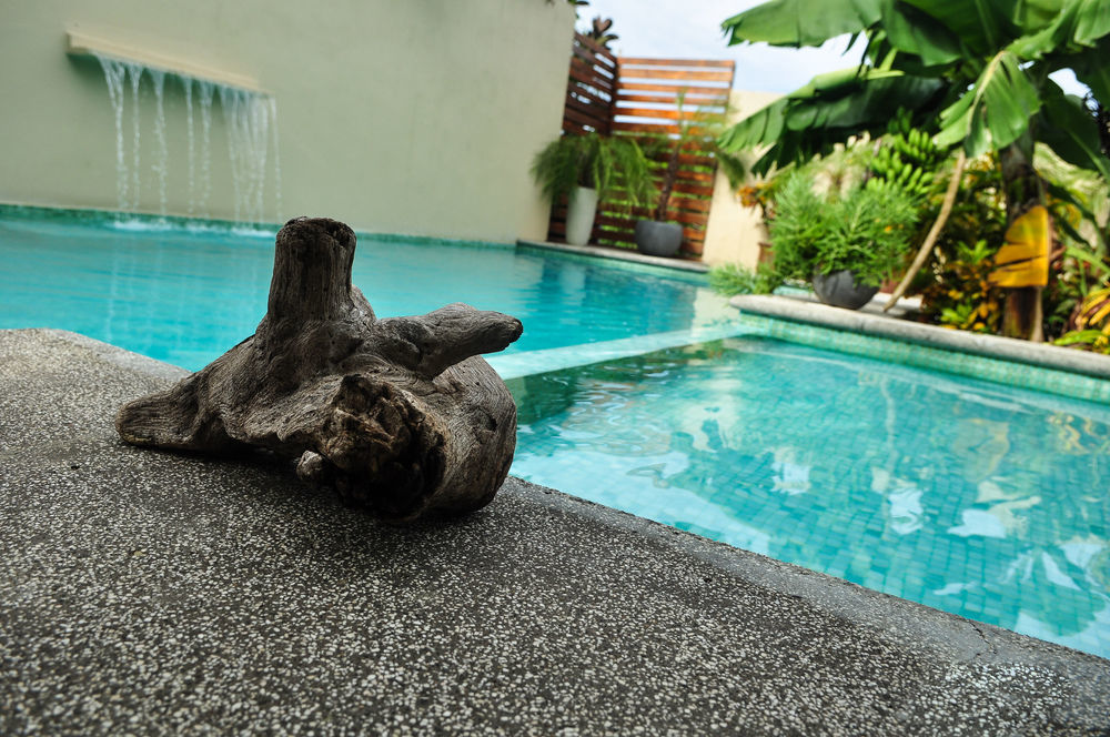 Nautilus Surf & Yoga Villas Santa Teresa Playa Santa Teresa  Exterior photo