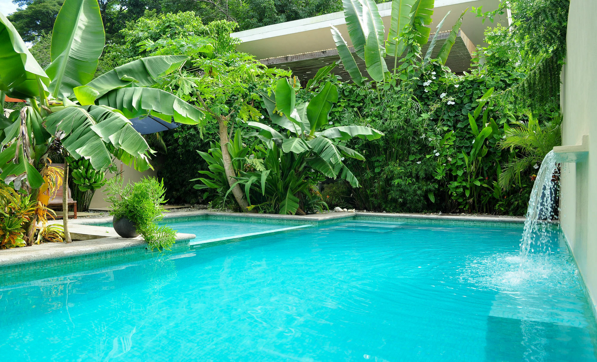 Nautilus Surf & Yoga Villas Santa Teresa Playa Santa Teresa  Exterior photo